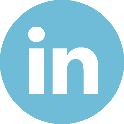 social-linkedin-vivivaldy